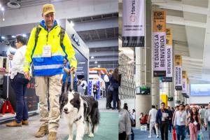 展會推薦|不容錯過的拉美商機：2025墨西哥勞保展助您出海！