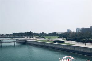 阿聯(lián)酋對(duì)中國公民免簽新規(guī)發(fā)布：180天內(nèi)限停90天